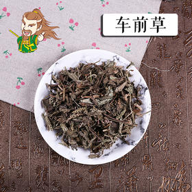 中药材批发 车前草 河南 1000克/500克