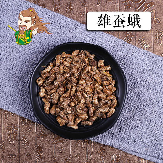中药材批发雄蚕蛾1000克500克