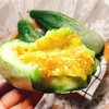 山东潍坊老品种一级羊角蜜 净果2.8-3斤/4.3-4.5斤 商品缩略图7