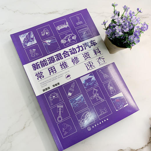 新能源混合动力汽车常用维修资料速查 商品图1