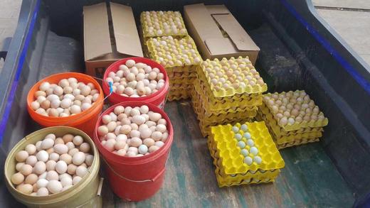 纯正土鸡蛋/30个装 商品图1