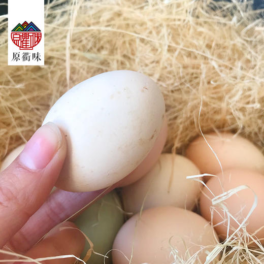 土鸡蛋 商品图5