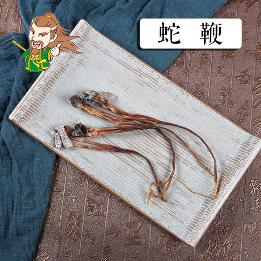 中药材批发蛇鞭1条