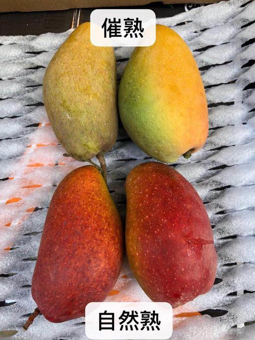 海南空运贵妃芒核小肉厚香味浓郁当季最好吃的水果没有之一 商品图5