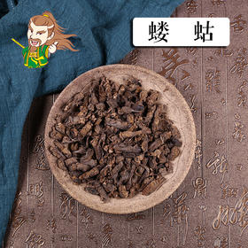 中药材批发 蝼蛄 黑龙江1000克/500克