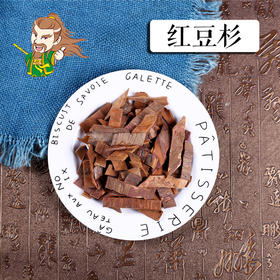 中药材批发 红豆杉东北 1000克/500克