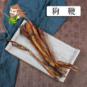 中药材批发 狗鞭  一条