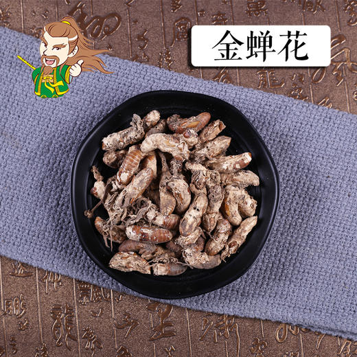 中药材批发 金蝉花（选）安徽 1000克/500克 商品图0