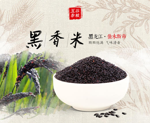 人民大真空黑香米500g 商品图1
