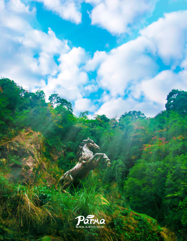 (广州白云区太和镇头坡村)广州帕玛生态谷排毒营地点可补差价选择不同