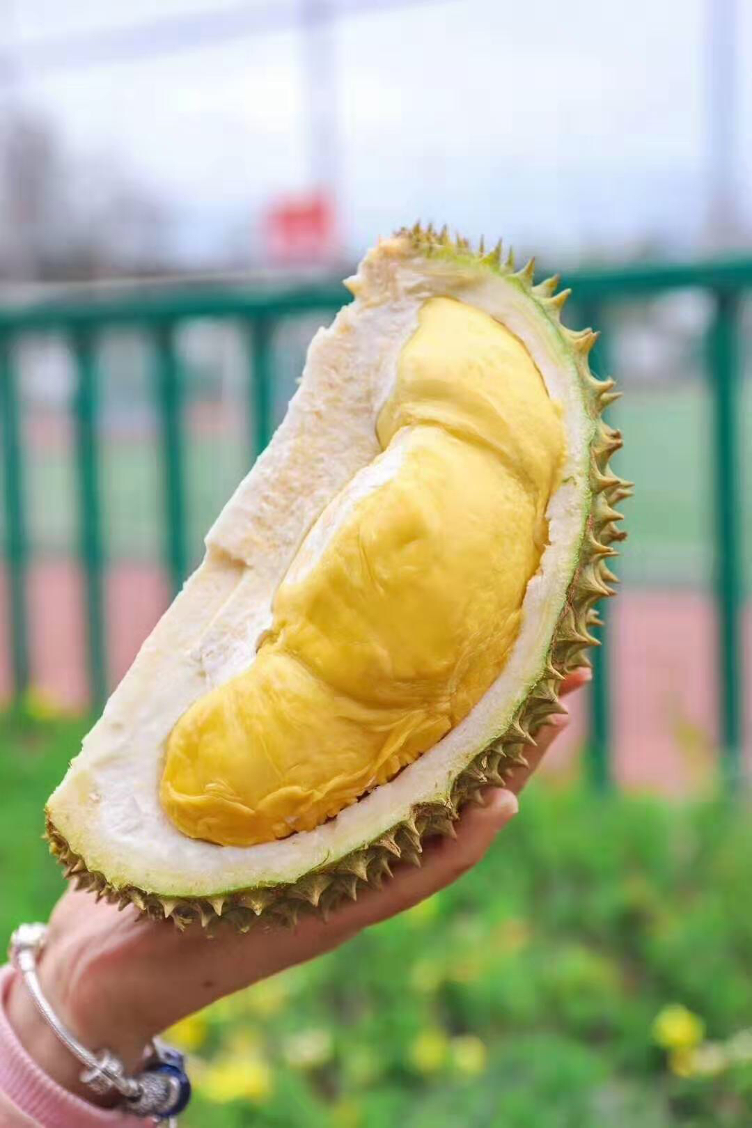 榴莲托曼尼福利价23斤个核小肉多香味浓郁保4房