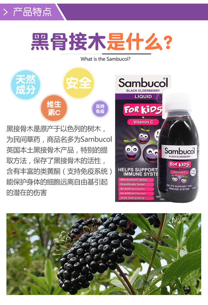 英国进口sambucol黑接骨木儿童糖浆婴幼儿复合维生素小黑果糖浆120ml