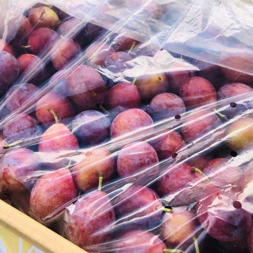 西梅 纯甜  汁水横溢，肠道清道夫【5斤】 商品图2