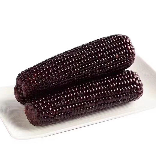 沂州黑糯玉米 220g*8条装（真空锁鲜装） 商品图0