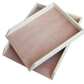 【百汇到家】饺子盒