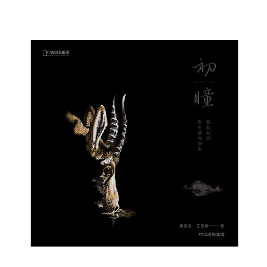 初瞳 我和我的野生动物朋友 初雯雯 王昱珩 艺术 商品图3