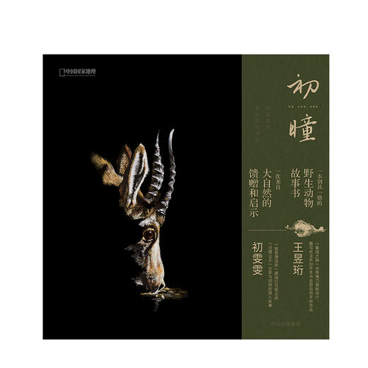 初瞳 我和我的野生动物朋友 初雯雯 王昱珩 艺术 商品图1