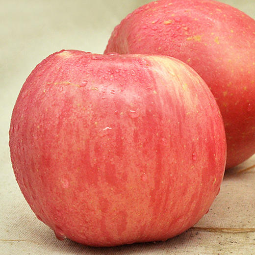 【生活必备】秋香苹果5斤