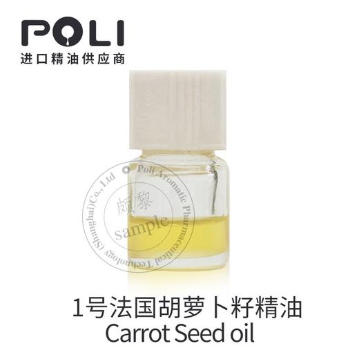 （法国）进口有机胡萝卜籽精油（野生）原料 商品图4
