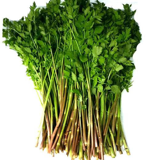 野芹菜0.8斤 | 江西宜春 龙大毛