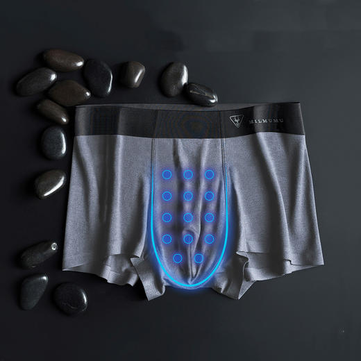 【能量黑磁石科技】抗菌裸感功能内裤 商品图3
