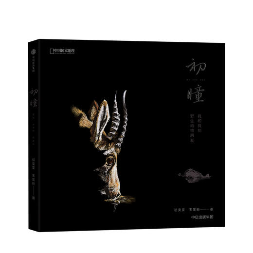 初瞳 我和我的野生动物朋友 初雯雯 王昱珩 艺术 商品图2