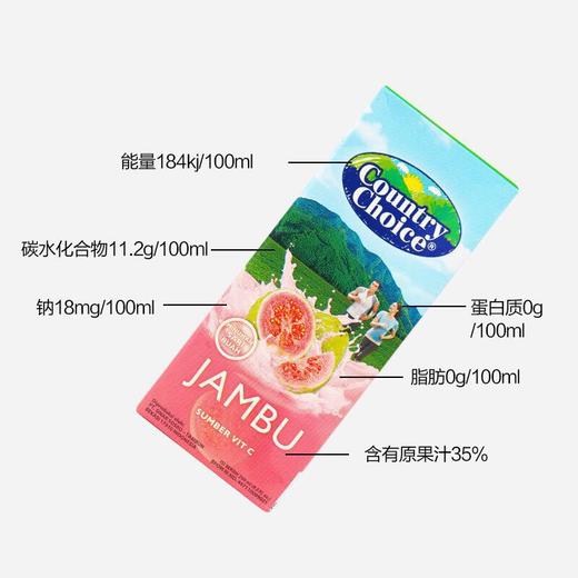 印尼进口苏盛乡村果汁纸盒饮料1000ml 商品图1