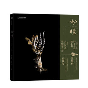 初瞳 我和我的野生动物朋友 初雯雯 王昱珩 艺术