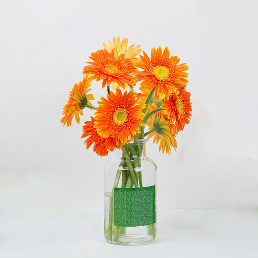 6枝扶郎花家庭办公室桌面插花鲜花居家摆花不含瓶