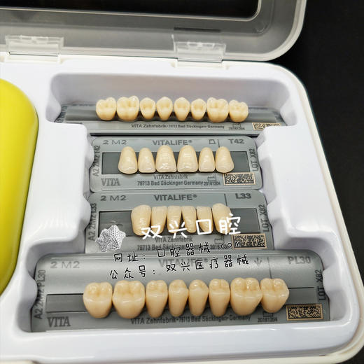 3D维他牙T42 - T43 - T47 商品图1