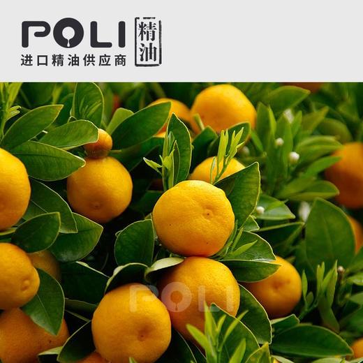 意大利甜橙1号甜橙精油