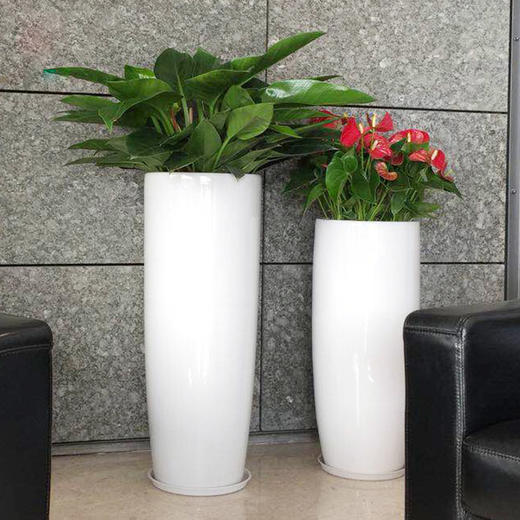 绿植盆栽组合景观花卉-大型商场酒店售楼处车展设计摆设