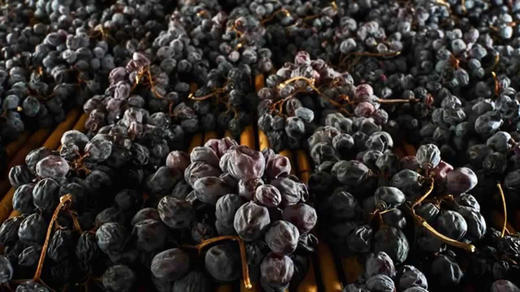 意大利马西阿马罗内经典海岸珍藏红葡萄酒2013Masi Costasera Riserva, Amarone della Valpolicella Classico DOCG, Italy 商品图3