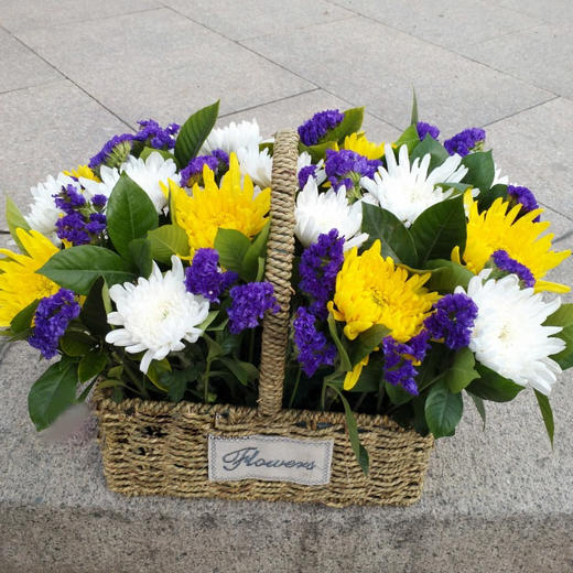 菊花手提花篮-扫墓祭奠追悼念鲜花速递同城清明节重阳节祭祖 商品图3