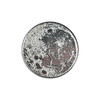 AstroReality 月球纪念币 商品缩略图4