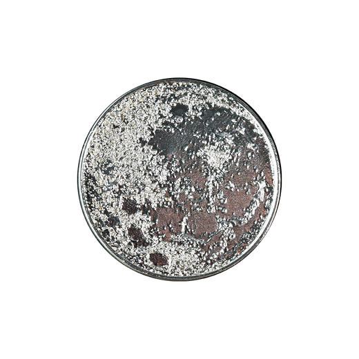AstroReality 月球纪念币 商品图4