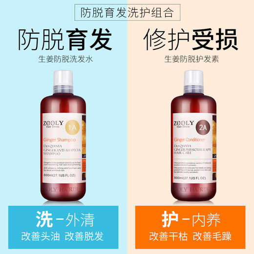 优选丨【洗护大套装+育发液】卓蓝雅生姜防脱洗护800ml*2+育发液50ml  防脱育发 家庭大套装 商品图3