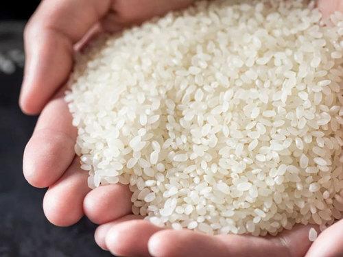 推广价正宗台湾越光米2公斤