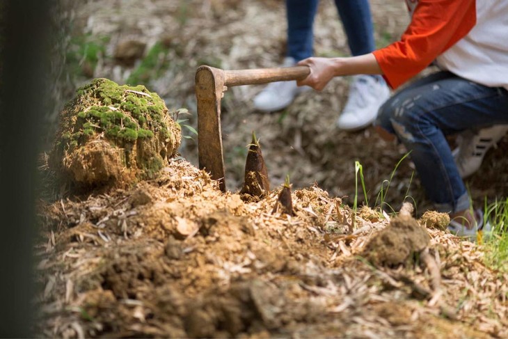 【4月5日-6日】清明独立营招募| 放羊,挖笋,捡羽毛,梳马毛!