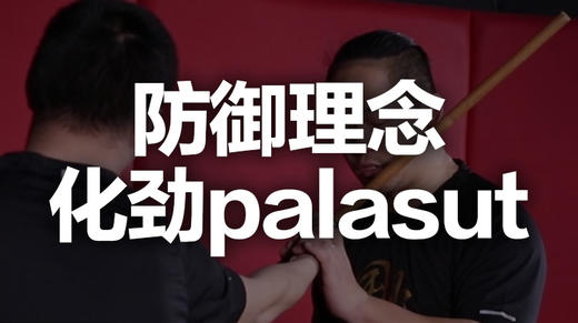 九、防御理念-化劲palasut 商品图0