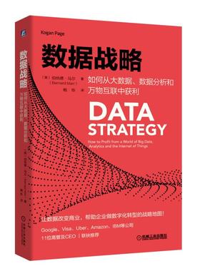 数据战略：如何从大数据、数据分析和万物互联中获利