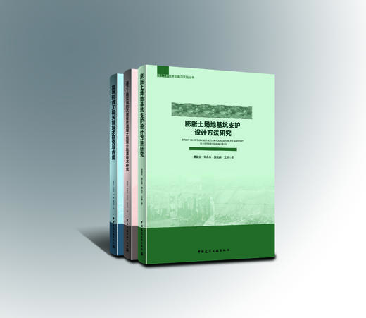 岩土工程技术创新与实践丛书 商品图0