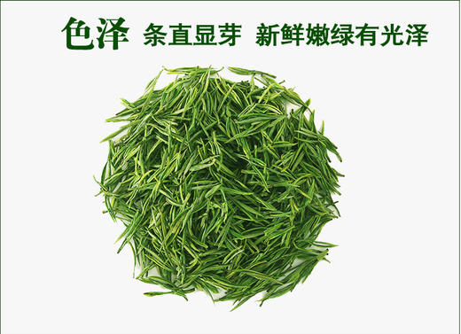 茶叶|明前安吉白茶125g/250g 商品图1