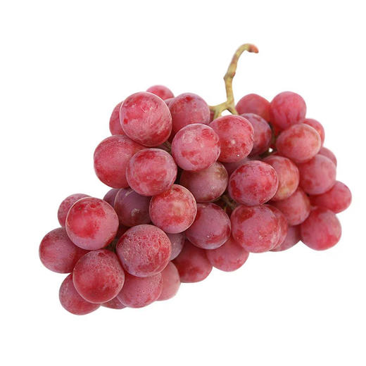 有籽红提 商品图0