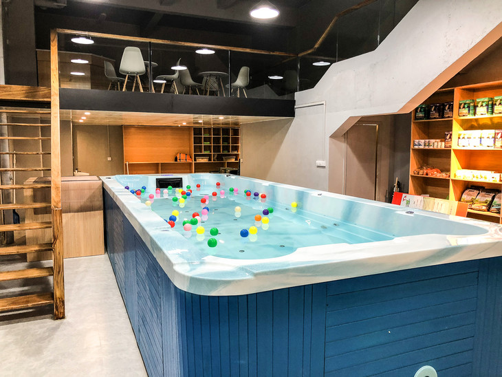 小黑柴宠物游泳馆5折酬宾,游泳,洗护通用!追加200份