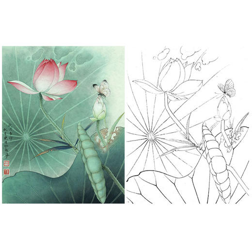 李晓明工笔花鸟荷花白描底稿白蝶粉荷斗方小品册页k081