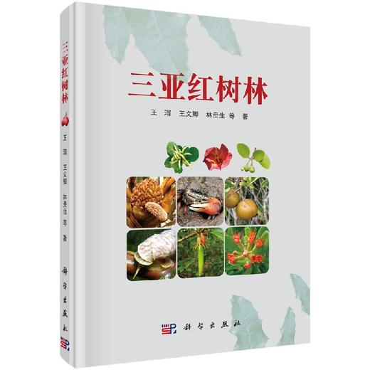 三亚红树林 商品图0