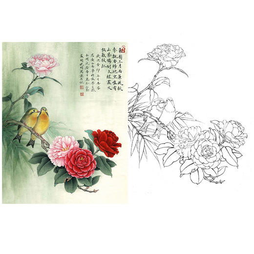 李晓明工笔花鸟白描底稿牡丹南国相思斗方小品册页k030