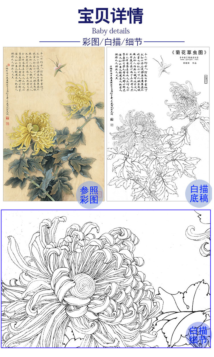李晓明竖幅工笔花鸟白描底稿菊花草虫多种白描尺寸可选k120