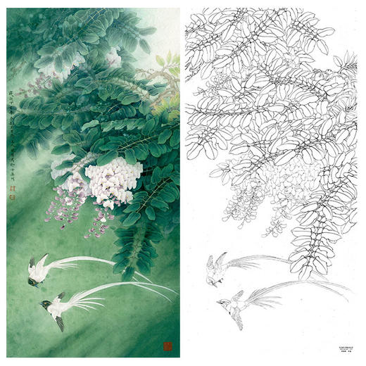 李晓明竖幅工笔花鸟白描底稿紫藤绶带图多种白描尺寸可选k123